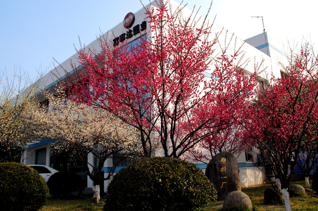 辦公大樓 辦公大樓